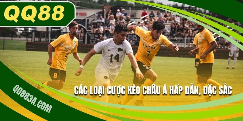 Các loại cược kèo Châu Á hấp dẫn, đặc sắc