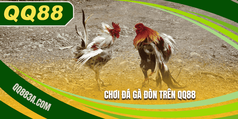 Chọn chơi đá gà đòn trên QQ88